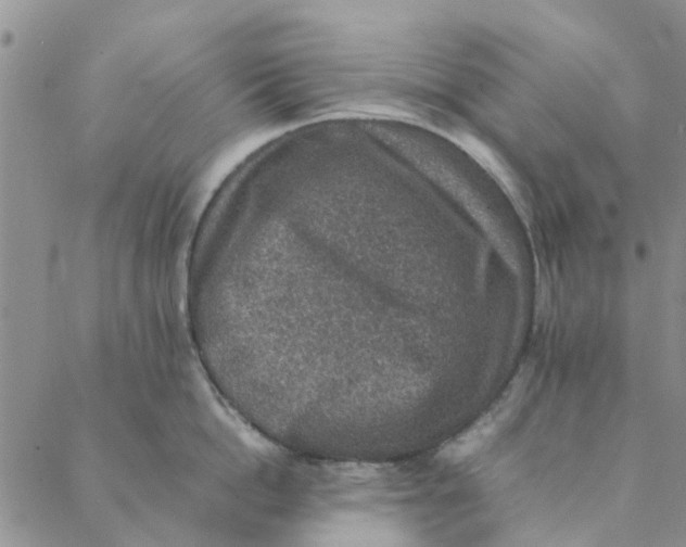 X0000088400862200706121233