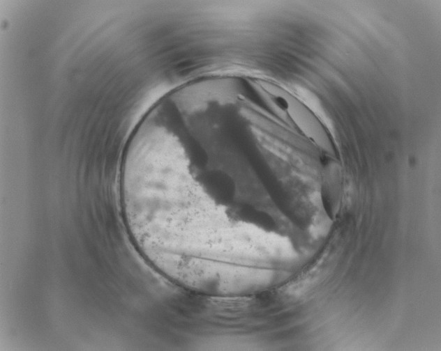 X0000088400863200706121233