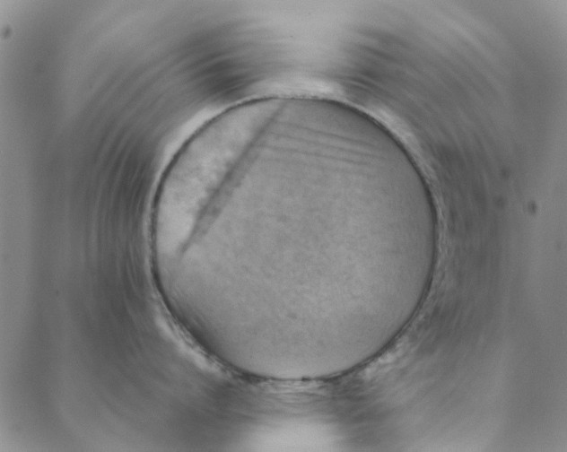 X0000088400864200706121233