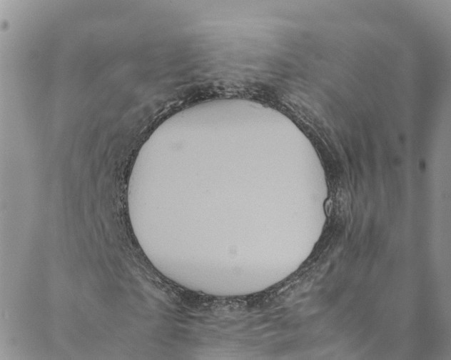 X0000088400865200706121232