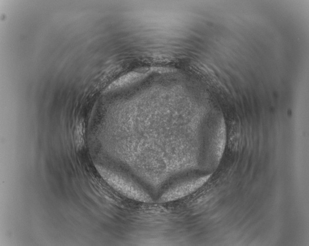 X0000088400866200706121232