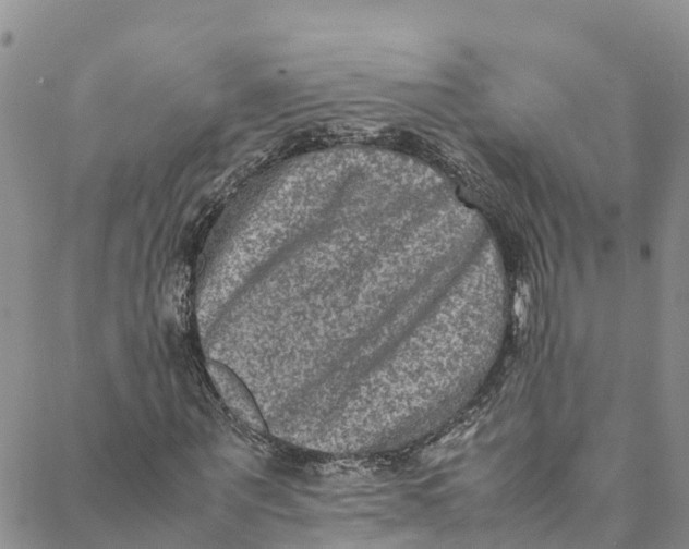 X0000088400867200706121232