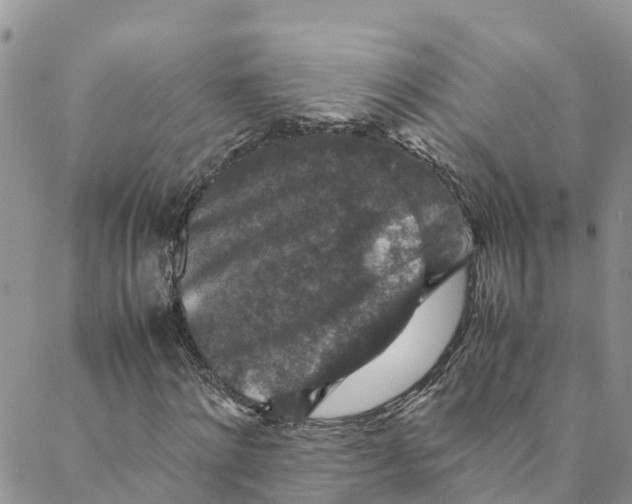 X0000088400868200706121232