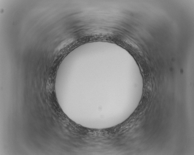 X0000088400869200706121232