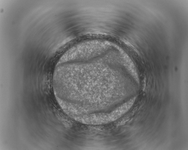 X0000088400870200706121232