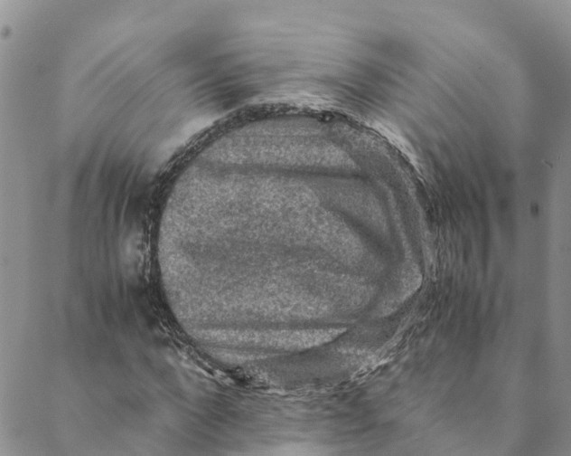 X0000088400872200706121232