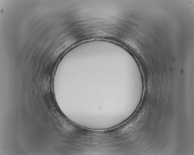 X0000088400873200706121232