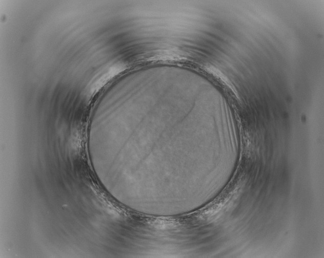 X0000088400874200706121232