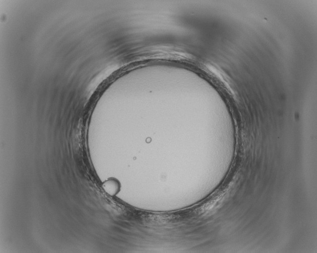 X0000088400875200706121232