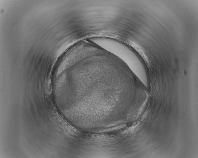 X0000088400876200706121232