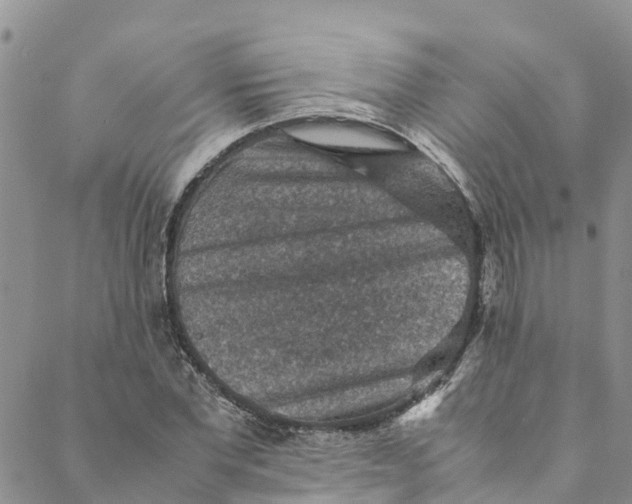 X0000088400877200706121232