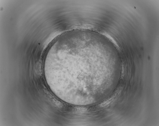 X0000088400878200706121232