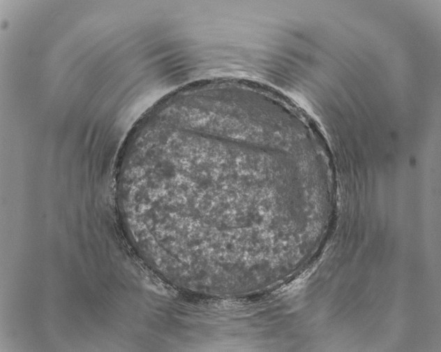 X0000088400879200706121232