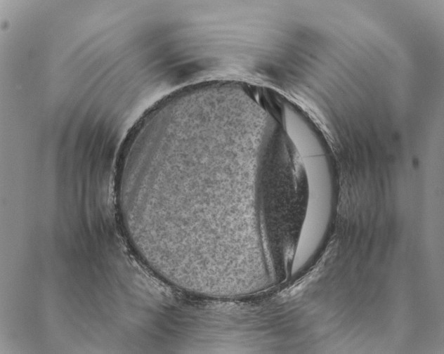 X0000088400880200706121232