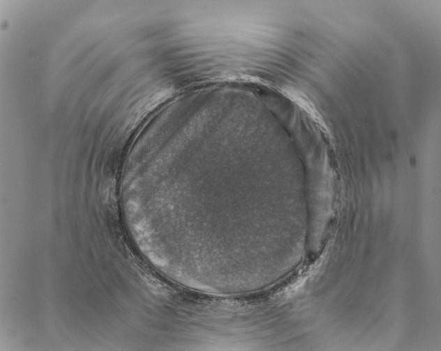 X0000088400881200706121232