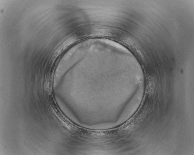 X0000088400882200706121232