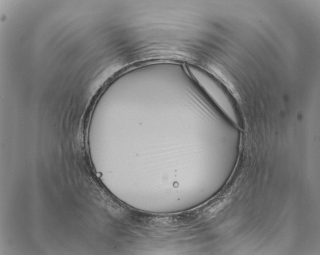 X0000088400883200706121232