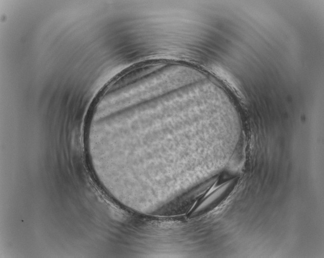 X0000088400884200706121232