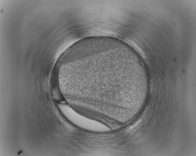 X0000088400885200706121232