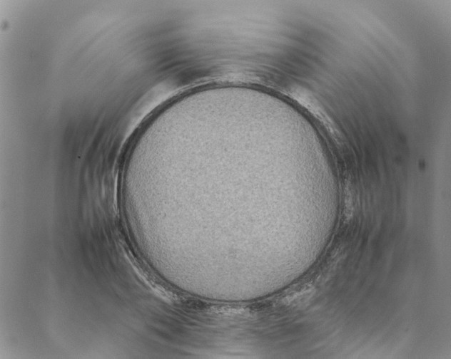 X0000088400886200706121232