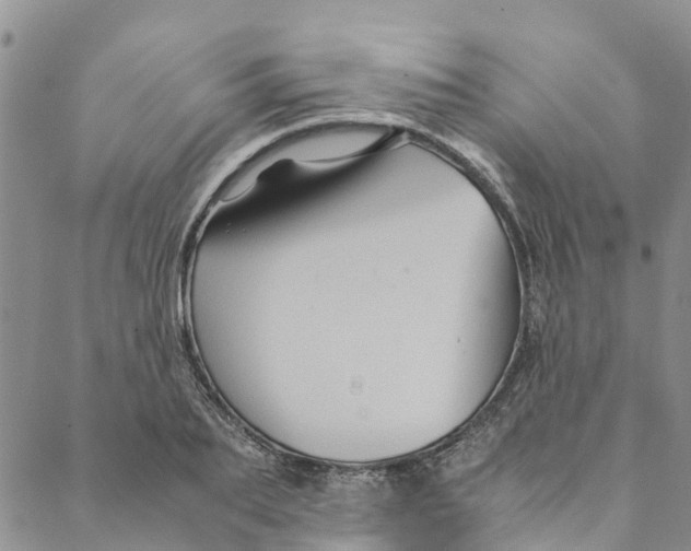 X0000088400887200706121232