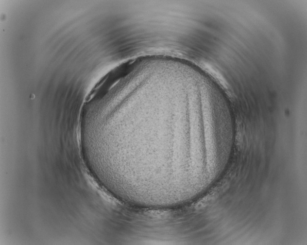 X0000088400888200706121232