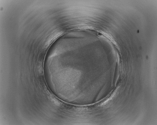 X0000088400889200706121232