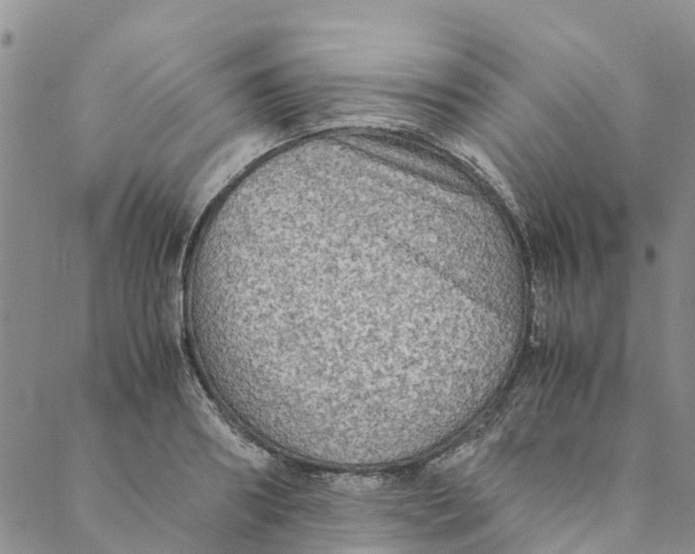 X0000088400890200706121232