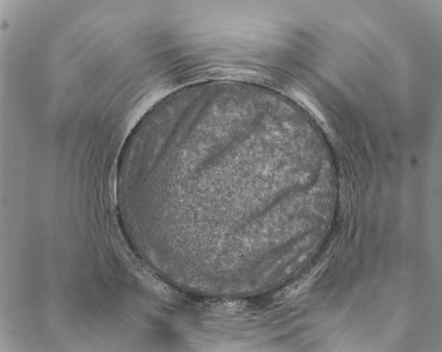 X0000088400891200706121232