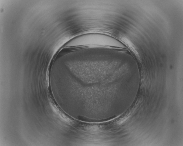 X0000088400892200706121232