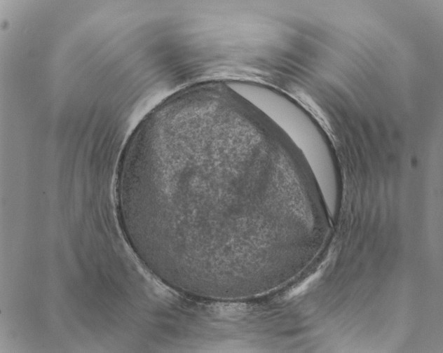 X0000088400893200706121232