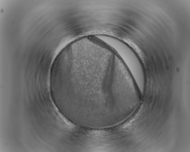 X0000088400894200706121232