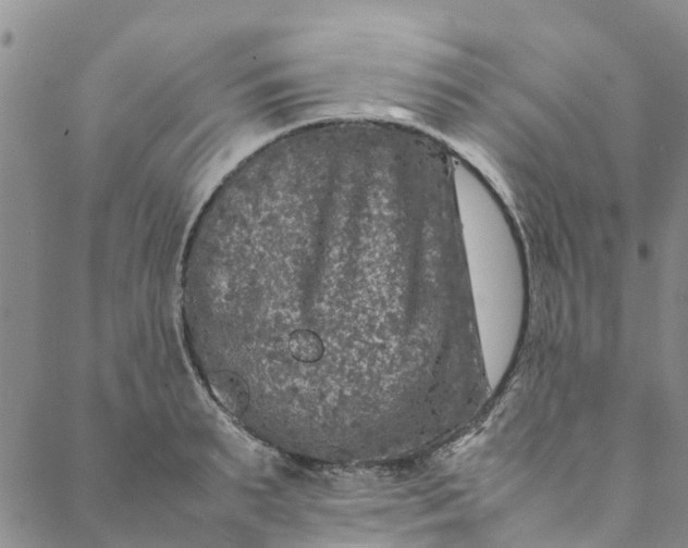 X0000088400895200706121232