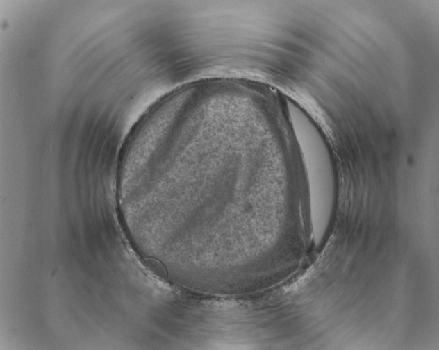 X0000088400896200706121232