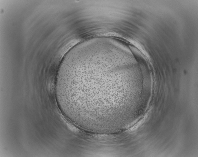 X0000088400897200706121232