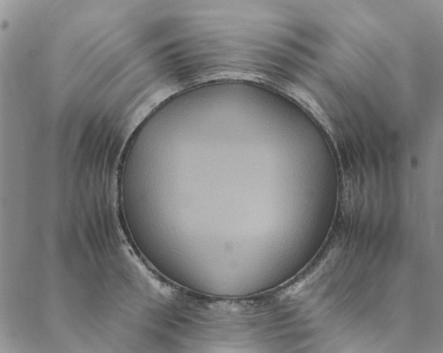 X0000088400898200706121232