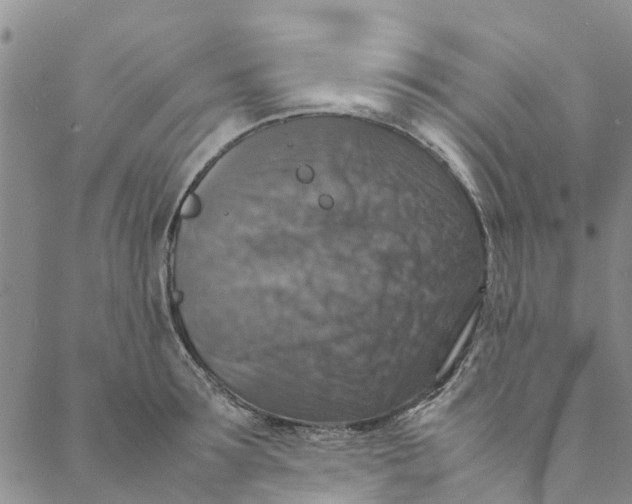 X0000088400899200706121232