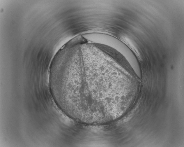 X0000088400900200706121232