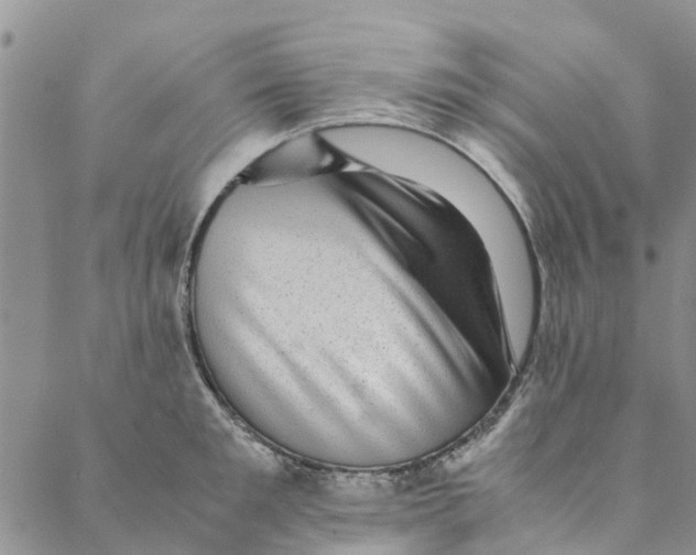 X0000088400901200706121232