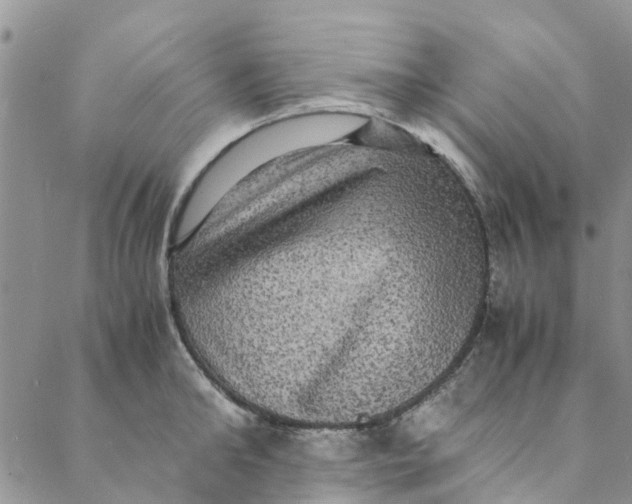 X0000088400902200706121232