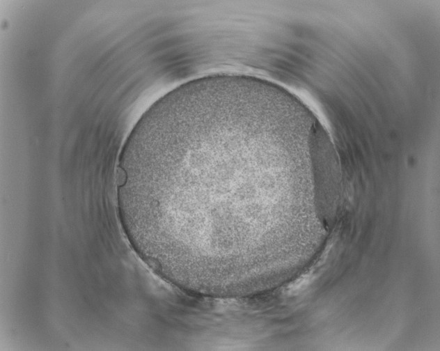 X0000088400903200706121232