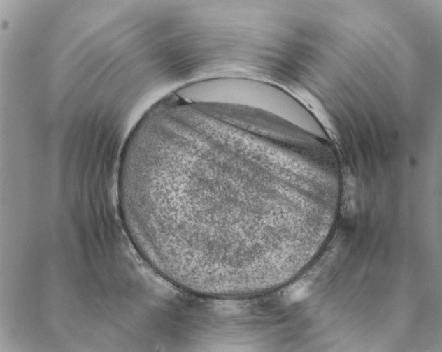 X0000088400904200706121232