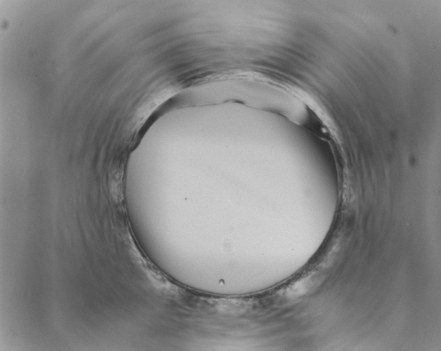 X0000088400905200706121232