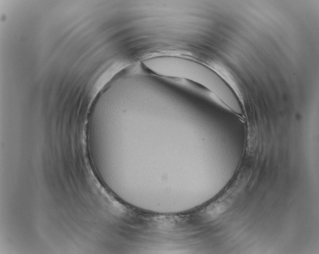 X0000088400906200706121232