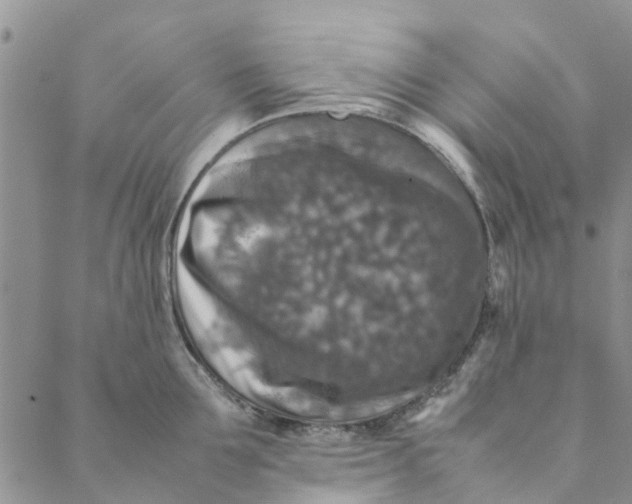 X0000088400907200706121232