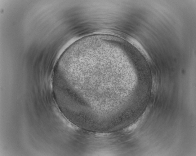 X0000088400908200706121232