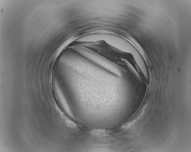 X0000088400909200706121232