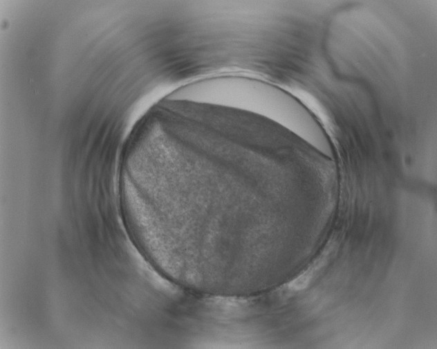 X0000088400910200706121232