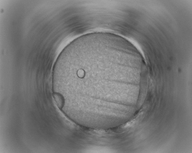 X0000088400911200706121232