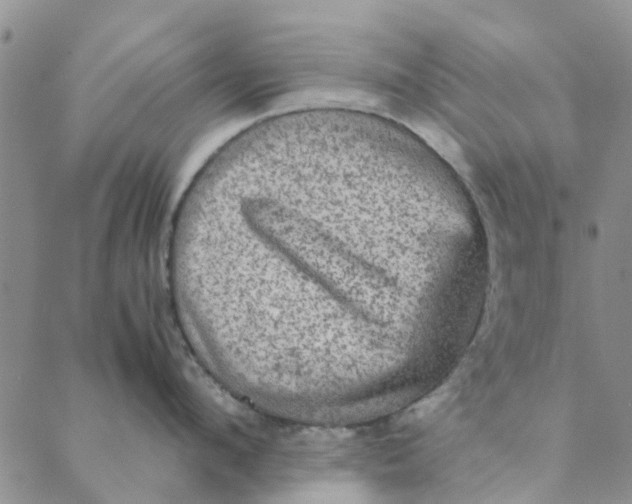 X0000088400912200706121232